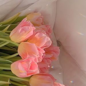 今天也想见到你