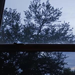 can you stop waiting for me