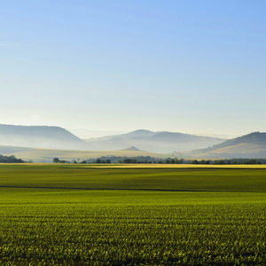 Prototype Goal Conundrum