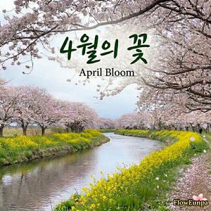 4월의 꽃: 가장 사랑스러운 벚나무 (April Bloom: Loveliest of Trees)