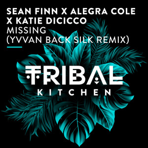 Missing (Yvvan Back Silk Extended Remix)