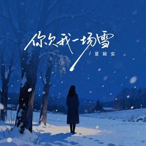 你欠我一场雪