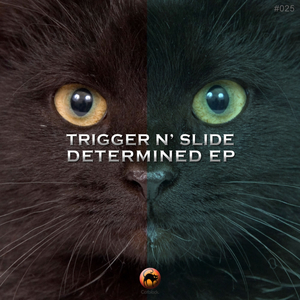 Determined (Original Mix)