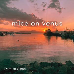 mice on venus