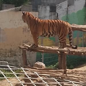 难过没人陪快乐无人说