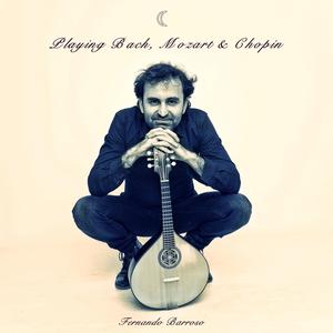 Brandenburg Concerto Nº3 G-Major, 1-Allegro BWV 1048