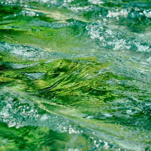 自然小径（Nature's Path）