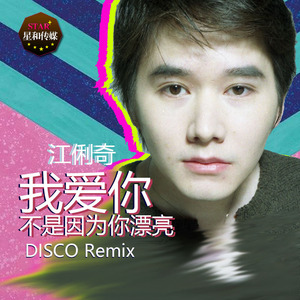 江俐奇-我爱你不是因为你漂亮DISCO Remix（江俐奇 Remix）