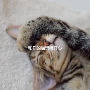 Marvellous Soothing Cat