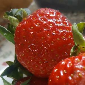 시루떡 퇴근열차