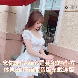 DJ国飞-念你成伤-痴心是我犯的错-立体声8D环绕丽音版车载连版（DJ国飞 remix）