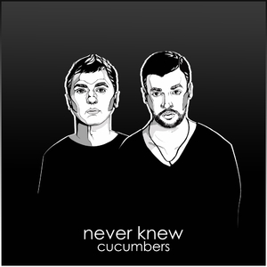 Never Knew (Original Mix)