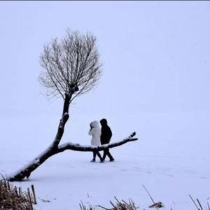 十二月飞雪