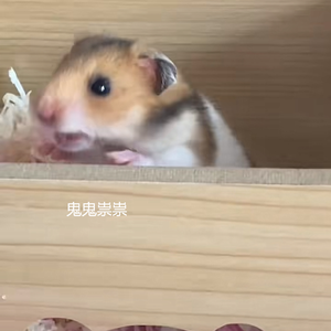 必杀技