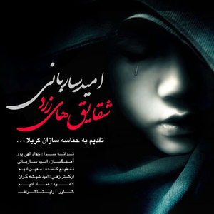 Shaghayegh Haye Zard