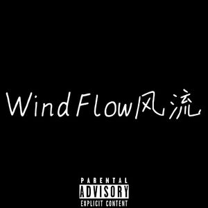 WindFlow风流