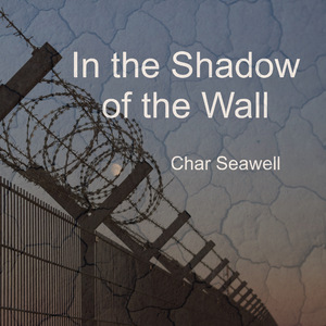 In the Shadow of the Wall