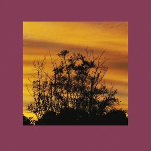 a manipulator's tricks