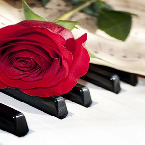 仙人掠夺者 (BGM)