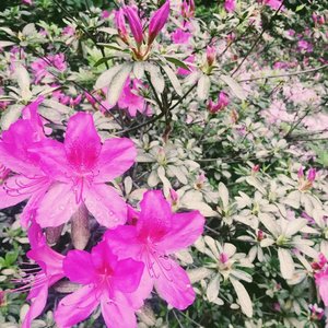 食味（Cover 陈鸿宇）