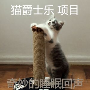 温和睡猫梦想
