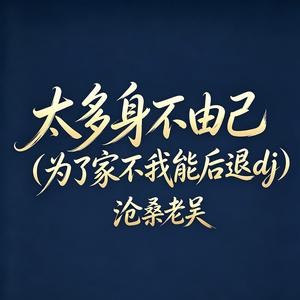 太多身不由己（为了家我不能后退dj)