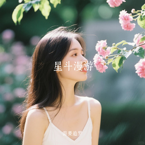 星斗漫游