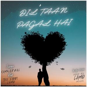 Dil Taan Pagal Hai (feat. Kanwar Pal & The Ziddi)