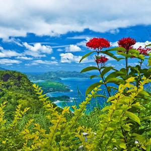 个人反反复复瓦工