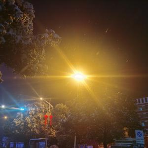 温言念君子 - 拥有