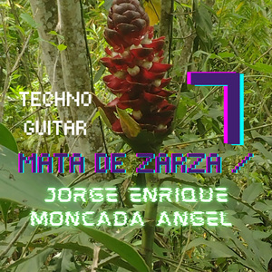 Mata de Zarza 7
