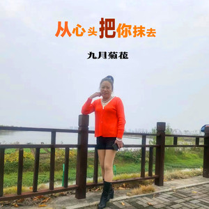 从心头把你抹去