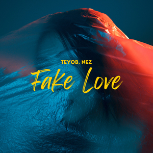 Fake Love