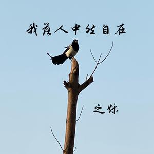 我落人中然自在