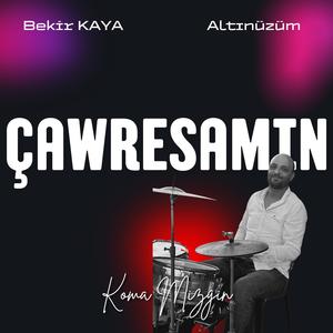 Çavreşamın Mizgin