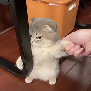 如果爱能早些说出来(Live)