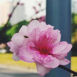 我爱过的那个人