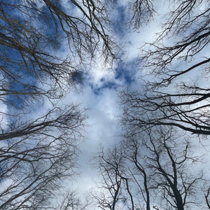 It's Raining up on Cannon Hill