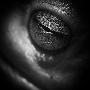 老学校里的废话1