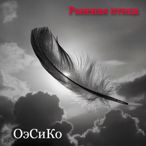 Раненая птица