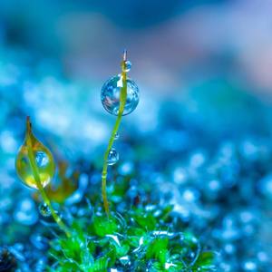 英德DjCeny-中英文FunkyHouse音乐清风Dj音乐网咚咚鼓串烧（翻自 xly）