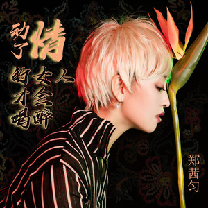 动了情的女人才会喝醉 (DJ版)