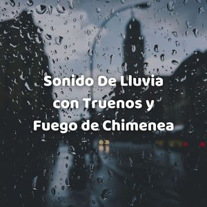 Lluvia en el Bosque
