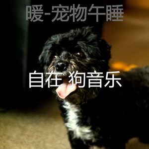 关怀(宠物午睡)