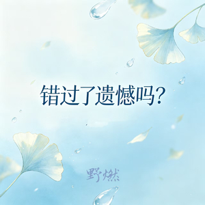 错过了遗憾吗