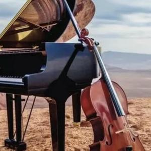 Haydn Cello Concerto in D Minor：I 钢琴伴奏