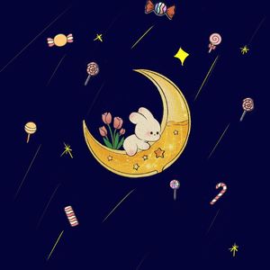 月亮上的小兔子