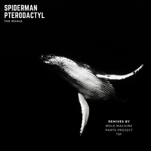 The Whale (Mole Machine Remix)