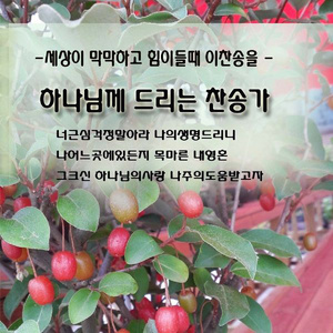 나같은 죄인살리신