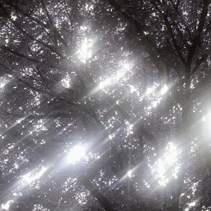 匆匆那年-0.8（前奏）
